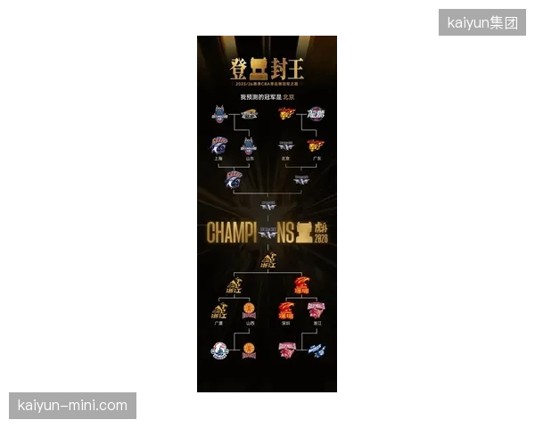 浙江队在双线作战的考验下阵容趋于成熟，全队总身价稳定在1155万欧元。